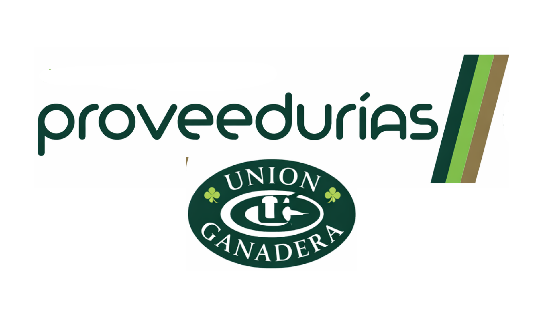 Proveedurías